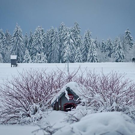 고슬라르 Ferienblockhaus Auerhahn & Luchs 빌라 외부 사진